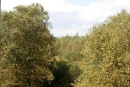 dscn4323