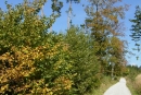 dscn4352