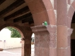 rhoenschaf_kloster_lorsch