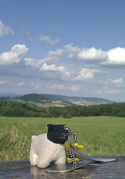 Rhoenschaf on Tour